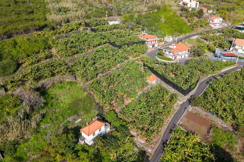 Helårsgrund i Ribeira Brava, Madeira, Ribeira Brava - € 195.000 | Ref: KWPT-026924 - foto 2
