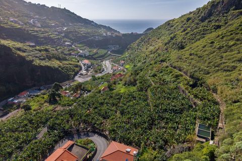 Helårsgrund i Ribeira Brava, Madeira, Ribeira Brava - € 195.000 | Ref: KWPT-026924 - foto 3