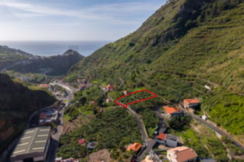 Helårsgrund i Ribeira Brava, Madeira, Ribeira Brava - € 195.000 | Ref: KWPT-026924 - foto 5