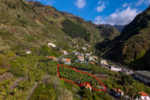 Helårsgrund i Ribeira Brava, Madeira, Ribeira Brava - € 195.000 | Ref: KWPT-026924 - foto 9