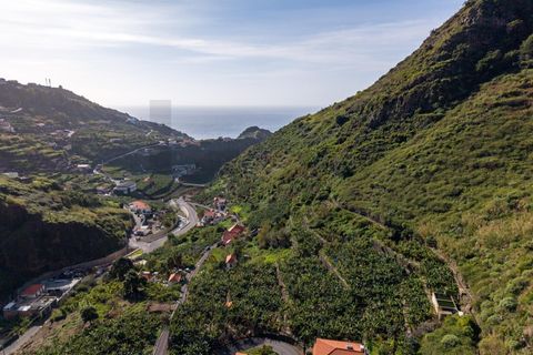 Helårsgrund i Ribeira Brava, Madeira, Ribeira Brava - € 195.000 | Ref: KWPT-026924 - foto 11