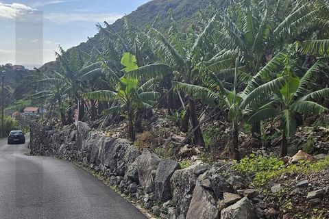 Helårsgrund i Ribeira Brava, Madeira, Ribeira Brava - € 195.000 | Ref: KWPT-026924 - foto 14
