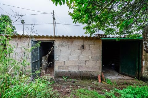 Villa a La Laguna, Tenerife, La Laguna - € 700.000 | Ref: 0067-04637/2961 - foto 29