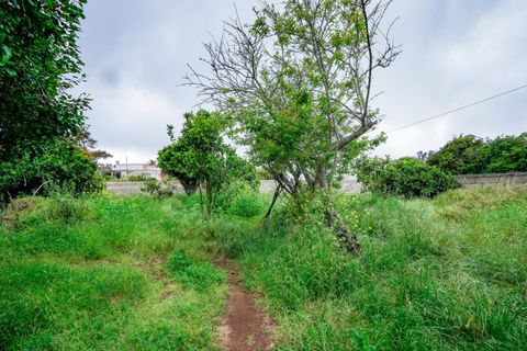 Villa a La Laguna, Tenerife, La Laguna - € 700.000 | Ref: 0067-04637/2961 - foto 30