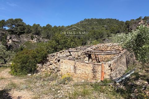 Finca i L'Ametlla De Mar, Tarragona - foto 3