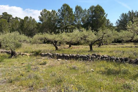 Finca i L'Ametlla De Mar, Tarragona - foto 5