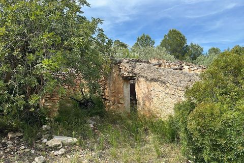 Finca i L'Ametlla De Mar, Tarragona - foto 4