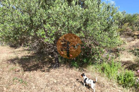 Helårsgrund i Castro Marim, Faro, Castro Marim - € 60.000 | Ref: SU-CS-TER-94501 - foto 4
