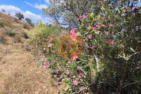 Helårsgrund i Castro Marim, Faro, Castro Marim - € 60.000 | Ref: SU-CS-TER-94501 - foto 5