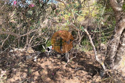 Helårsgrund i Castro Marim, Faro, Castro Marim - € 60.000 | Ref: SU-CS-TER-94501 - foto 11