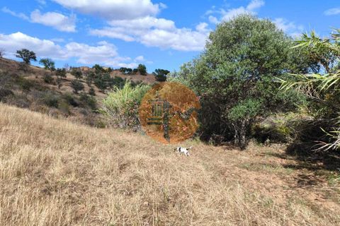 Helårsgrund i Castro Marim, Faro, Castro Marim - € 60.000 | Ref: SU-CS-TER-94501 - foto 12