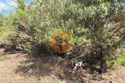 Helårsgrund i Castro Marim, Faro, Castro Marim - € 60.000 | Ref: SU-CS-TER-94501 - foto 17