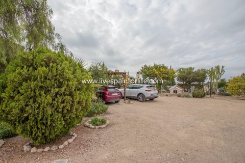 Landejendom i Albatera, Alicante, Albatera - € 362.000 | Ref: ALBA MG-D - foto 6