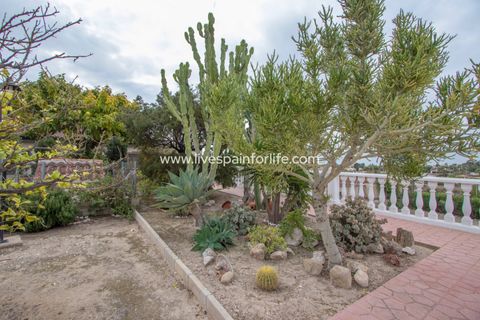 Landejendom i Albatera, Alicante, Albatera - € 362.000 | Ref: ALBA MG-D - foto 18