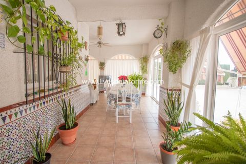 Landejendom i Albatera, Alicante, Albatera - € 362.000 | Ref: ALBA MG-D - foto 40