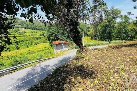Byhus i Amarante, Porto, Amarante - € 75.000 | Ref: 916765 - foto 10