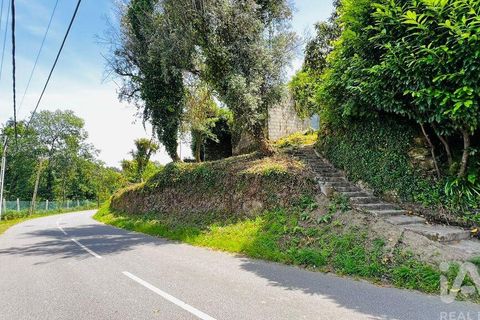 Byhus i Amarante, Porto, Amarante - € 75.000 | Ref: 916765 - foto 11