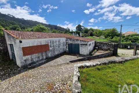 Byhus i Viana do Castelo, Viana do Castelo, Viana do Castelo - € 375.000 | Ref: 920830 - foto 12