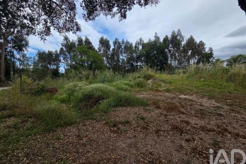 Terra a Santa Comba Dao, Viseu, Santa Comba Dao - € 24.900 | Ref: 919302 - foto 2