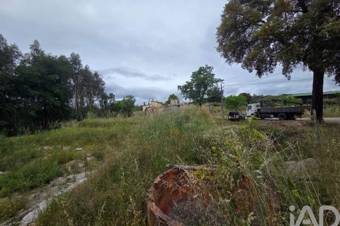Terra a Santa Comba Dao, Viseu, Santa Comba Dao - € 24.900 | Ref: 919302 - foto 3