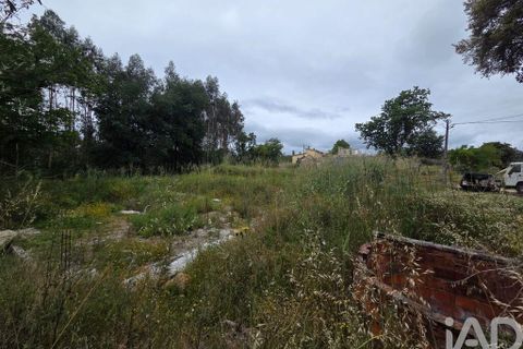 Terra a Santa Comba Dao, Viseu, Santa Comba Dao - € 24.900 | Ref: 919302 - foto 4