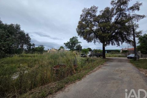 Terra a Santa Comba Dao, Viseu, Santa Comba Dao - € 24.900 | Ref: 919302 - foto 5
