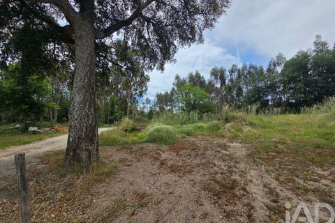Terra a Santa Comba Dao, Viseu, Santa Comba Dao - € 24.900 | Ref: 919302 - foto 6