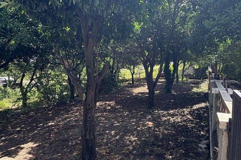 Byhus i Alpiarca, Santarem, Alpiarca - € 670.000 | Ref: 923144 - foto 30