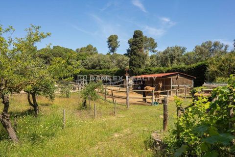 Villa i Palamos, Gerona, Palamos - € 1.585.000 | Ref: 75277 - foto 12