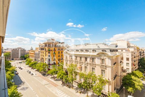 Leilighet i Madrid, Madrid, Madrid - € 2 550 000 | Ref: VM2512048 - foto 47