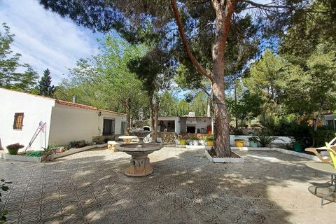 Villa i Sax, Alicante, Sax - € 325.000 | Ref: PT3117 - foto 6