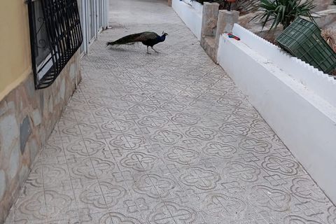 Villa i Sax, Alicante, Sax - € 325.000 | Ref: PT3117 - foto 14