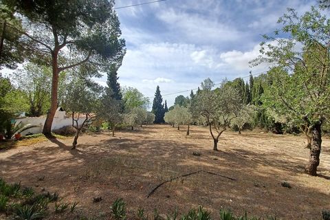 Villa i Sax, Alicante, Sax - € 325.000 | Ref: PT3117 - foto 22