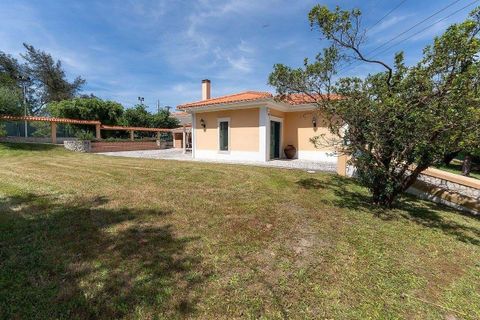 Villa i Alcobaca, Leiria, Alcobaca - € 690.000 | Ref: 121021135-174 - foto 8