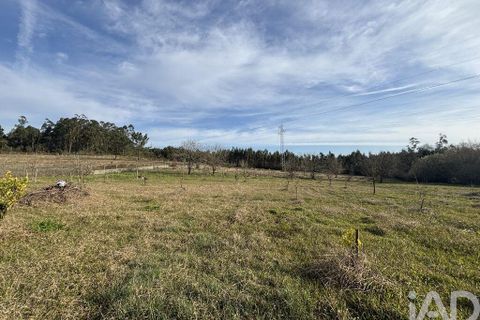 Helårsgrund i Coimbra, Coimbra, Coimbra - € 200.000 | Ref: 833738 - foto 2