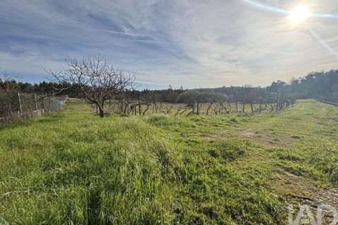 Helårsgrund i Coimbra, Coimbra, Coimbra - € 200.000 | Ref: 833738 - foto 3