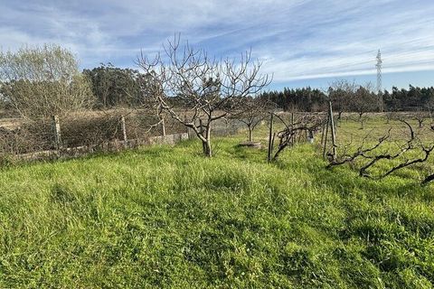 Helårsgrund i Coimbra, Coimbra, Coimbra - € 200.000 | Ref: 833738 - foto 4