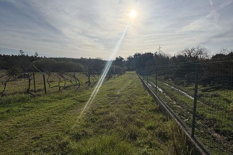 Helårsgrund i Coimbra, Coimbra, Coimbra - € 200.000 | Ref: 833738 - foto 6
