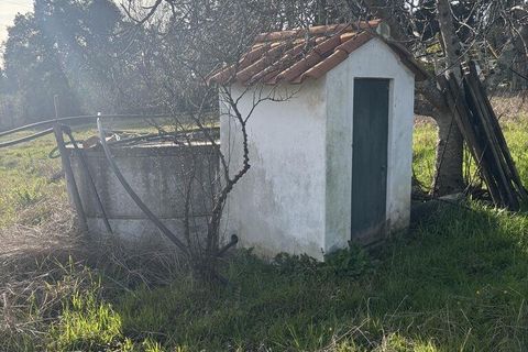 Helårsgrund i Coimbra, Coimbra, Coimbra - € 200.000 | Ref: 833738 - foto 9
