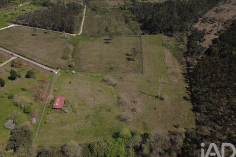 Helårsgrund i Coimbra, Coimbra, Coimbra - € 200.000 | Ref: 833738 - foto 17