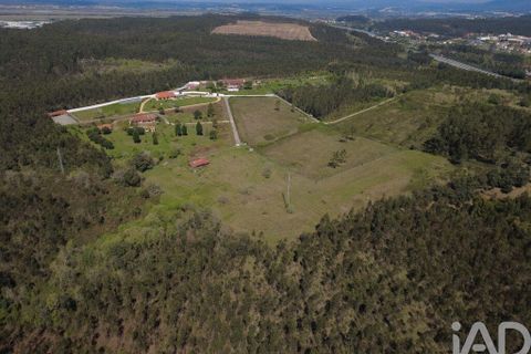 Helårsgrund i Coimbra, Coimbra, Coimbra - € 200.000 | Ref: 833738 - foto 18