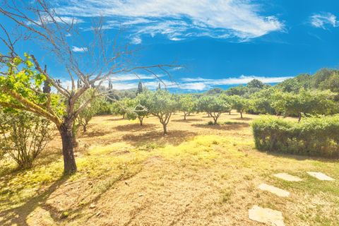 Finca i Son Servera, Mallorca, Son Servera - € 789 000 | Ref: FALC-HeMa-85528 - foto 27