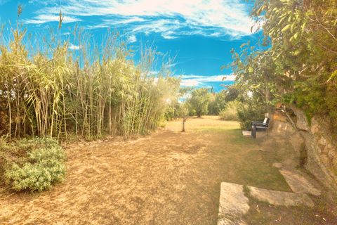 Finca i Son Servera, Mallorca, Son Servera - € 789 000 | Ref: FALC-HeMa-85528 - foto 29