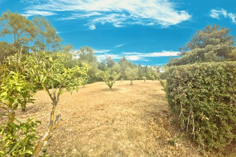 Finca i Son Servera, Mallorca, Son Servera - € 789 000 | Ref: FALC-HeMa-85528 - foto 30