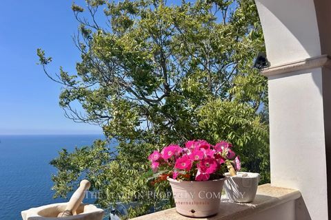 Villa i Ventimiglia, Imperia, Ventimiglia - € 1.700.000 | Ref: f236 - foto 7