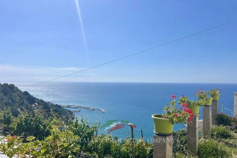 Villa i Ventimiglia, Imperia, Ventimiglia - € 1.700.000 | Ref: f236 - foto 29