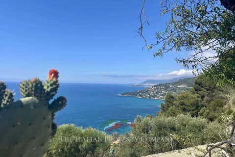 Villa i Ventimiglia, Imperia, Ventimiglia - € 1.700.000 | Ref: f236 - foto 35