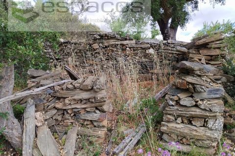 Helårsgrund i Perais, Castelo Branco, Perais - € 13.000 | Ref: 5040/(4)EM_RR - foto 2