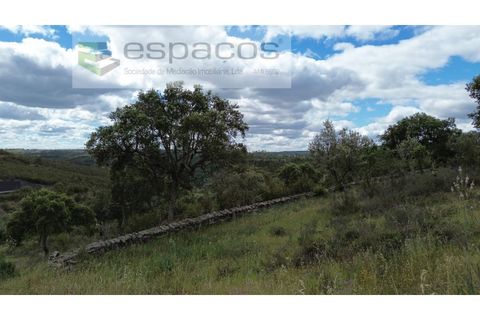 Helårsgrund i Perais, Castelo Branco, Perais - € 13.000 | Ref: 5040/(4)EM_RR - foto 3