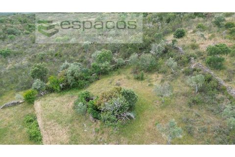 Helårsgrund i Perais, Castelo Branco, Perais - € 13.000 | Ref: 5040/(4)EM_RR - foto 6